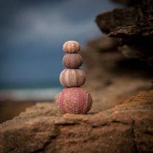 feature-image-for-freebie-about-energetic-techniques-about-calm-and-balance
